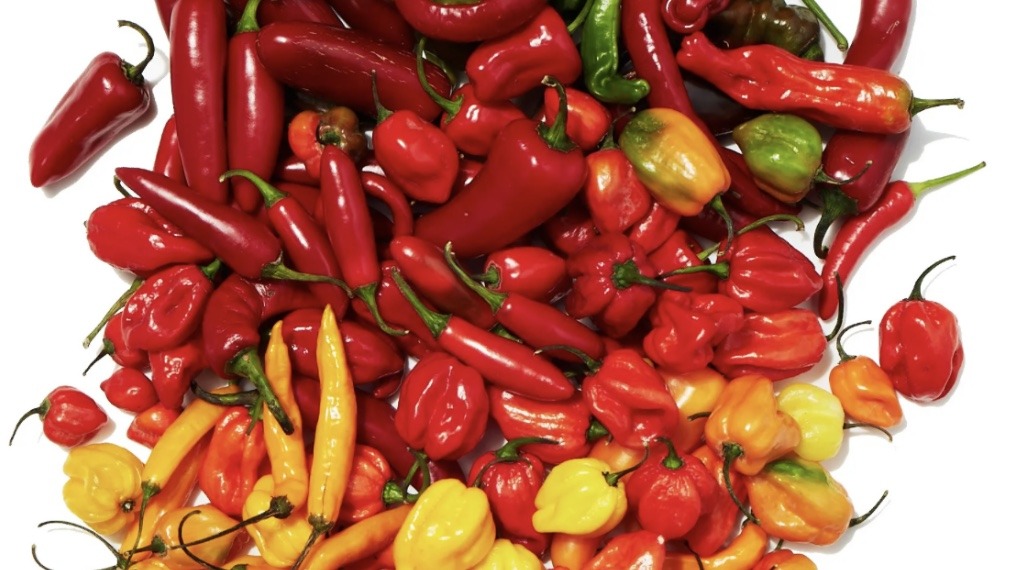 Fresh Mama Red or Green Peppers(in Brine)