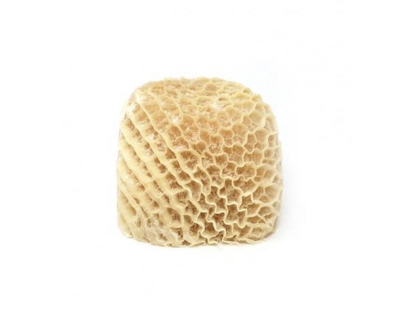 Tripe(Shaki)